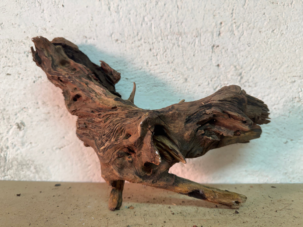 Drift Wood - 29*10*14 - cod.150 WHIMAR