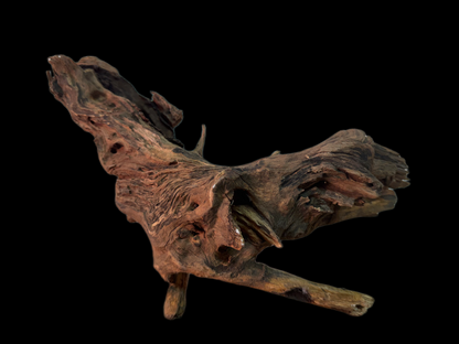 Drift Wood - 29*10*14 - cod.150 WHIMAR