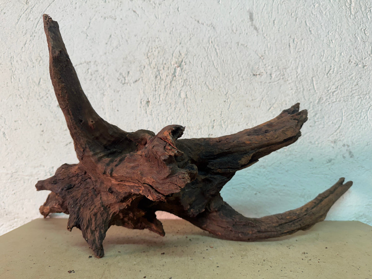 Drift Wood - 66*30*31 - cod.151 WHIMAR