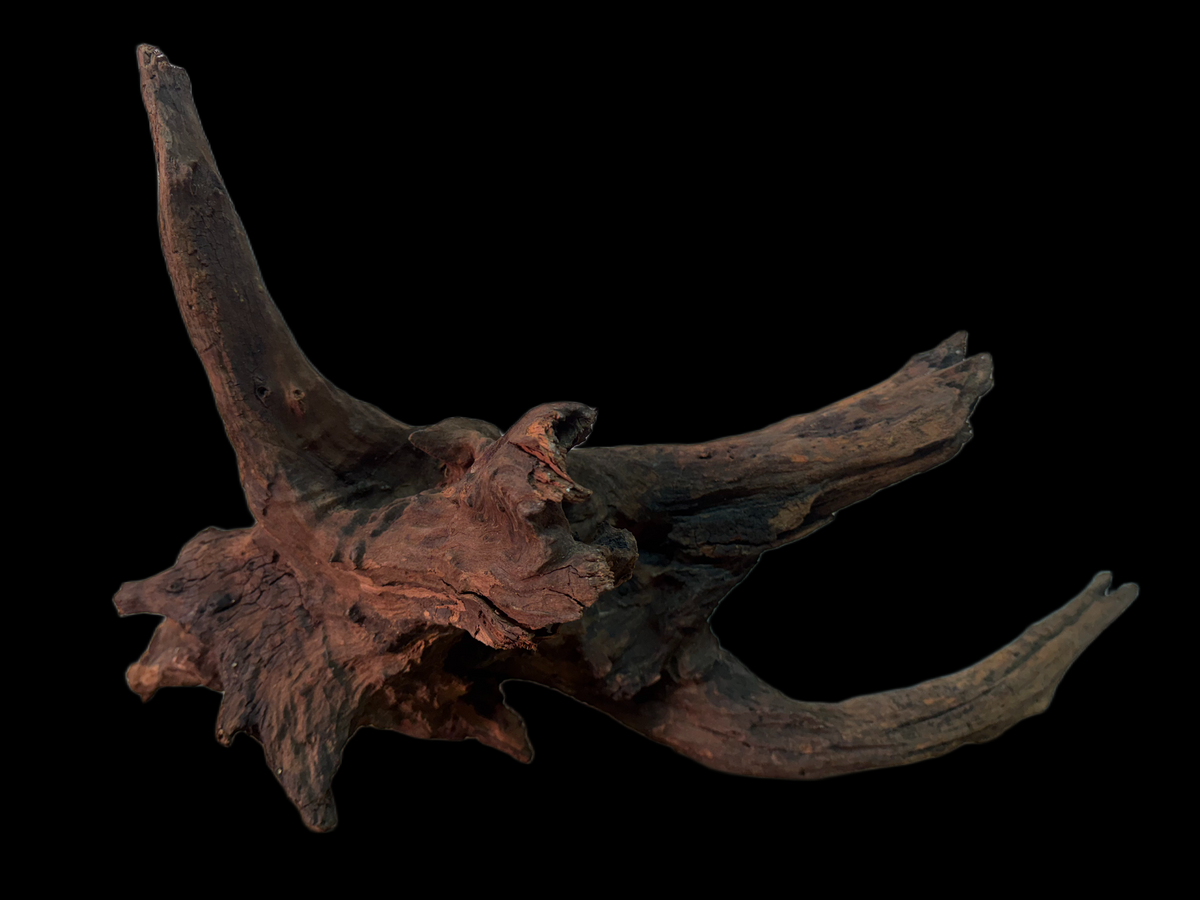 Drift Wood - 66*30*31 - cod.151 WHIMAR