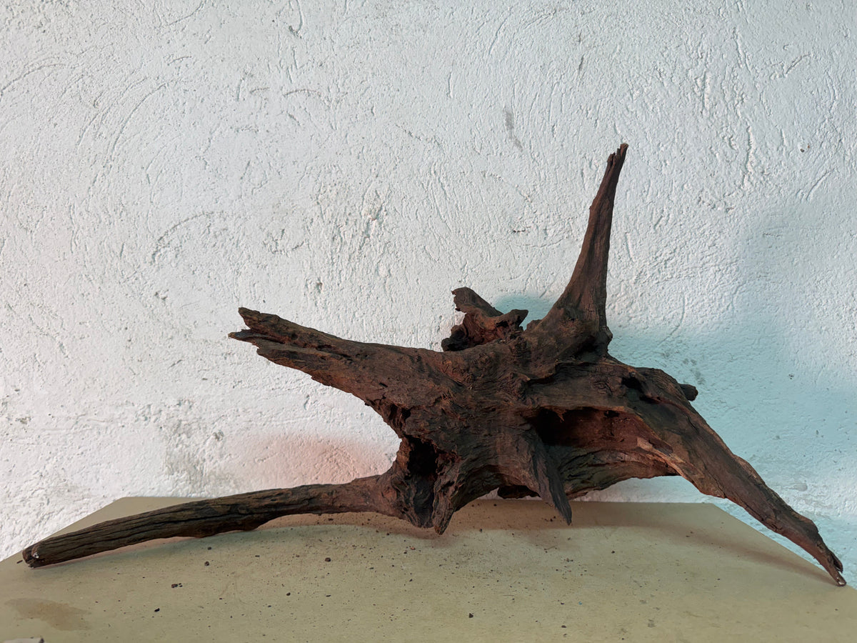 Drift Wood - 66*30*31 - cod.151 WHIMAR