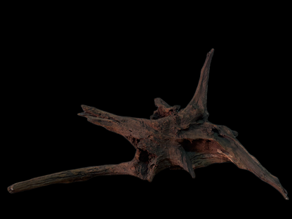 Drift Wood - 66*30*31 - cod.151 WHIMAR