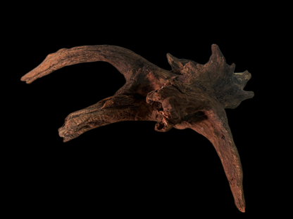 Drift Wood - 66*30*31 - cod.151 WHIMAR