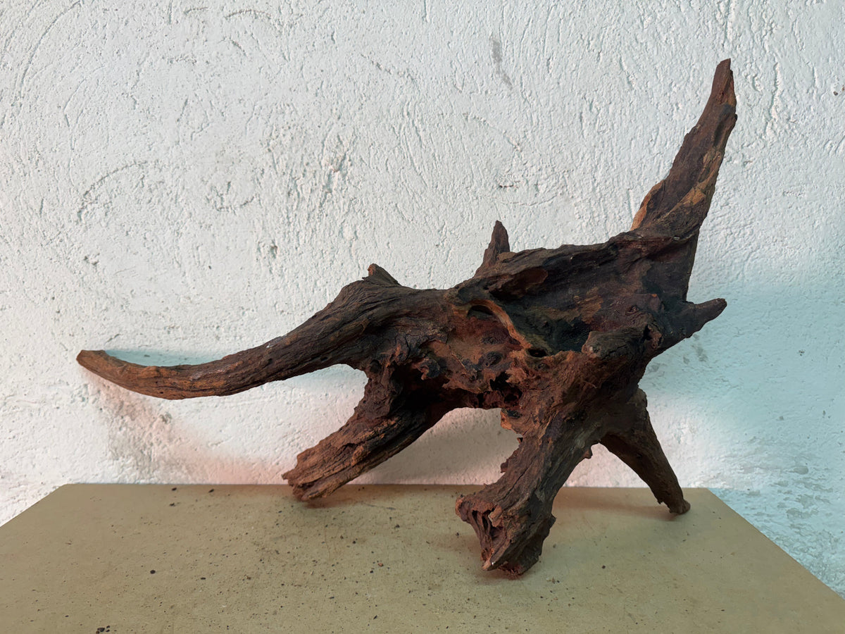 Drift Wood - 66*30*31 - cod.151 WHIMAR