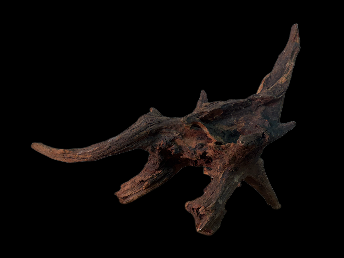 Drift Wood - 66*30*31 - cod.151 WHIMAR