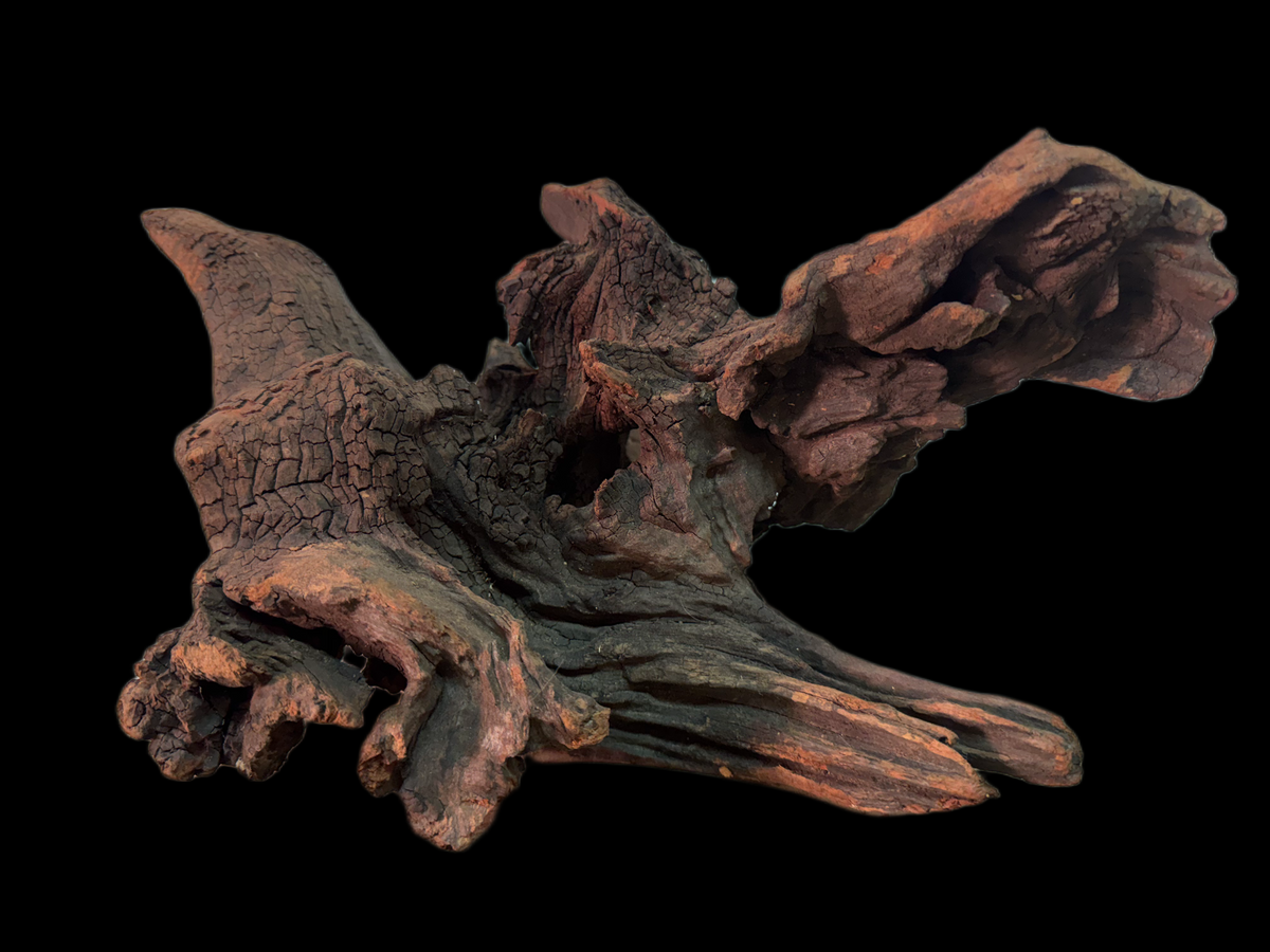 Drift Wood - 34*17*20 - cod.152 WHIMAR