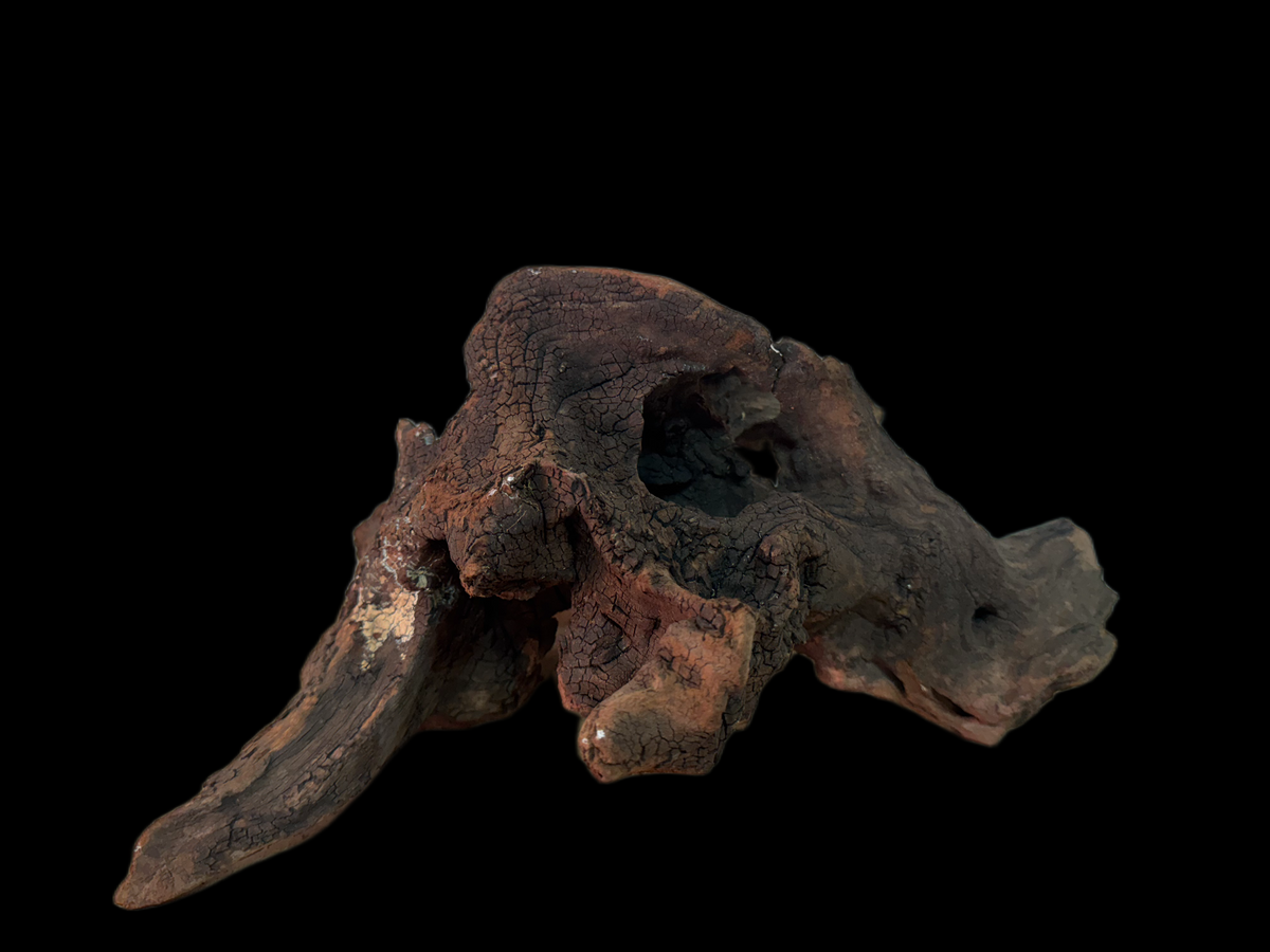 Drift Wood - 34*17*20 - cod.152 WHIMAR