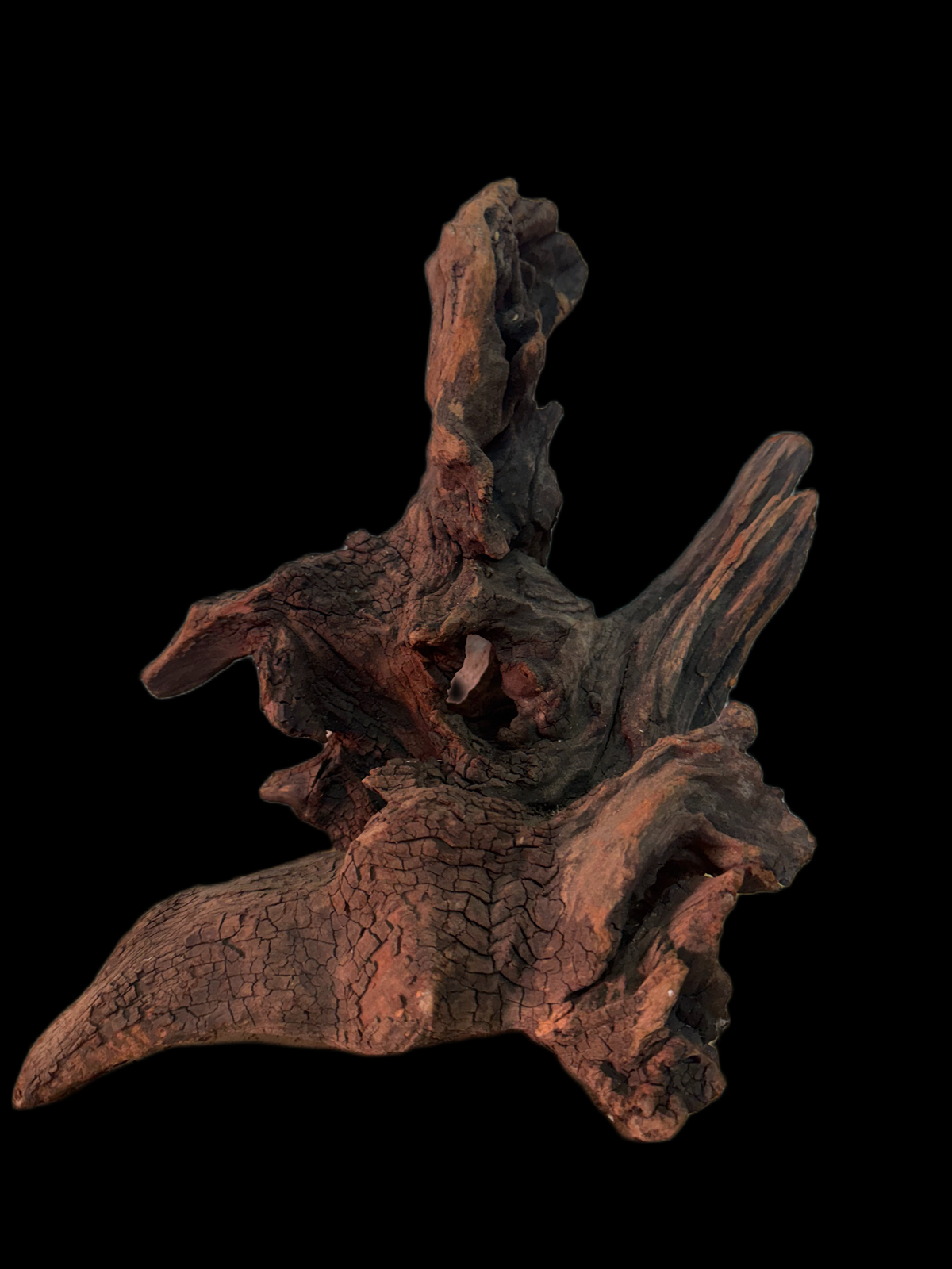 Drift Wood - 34*17*20 - cod.152 WHIMAR