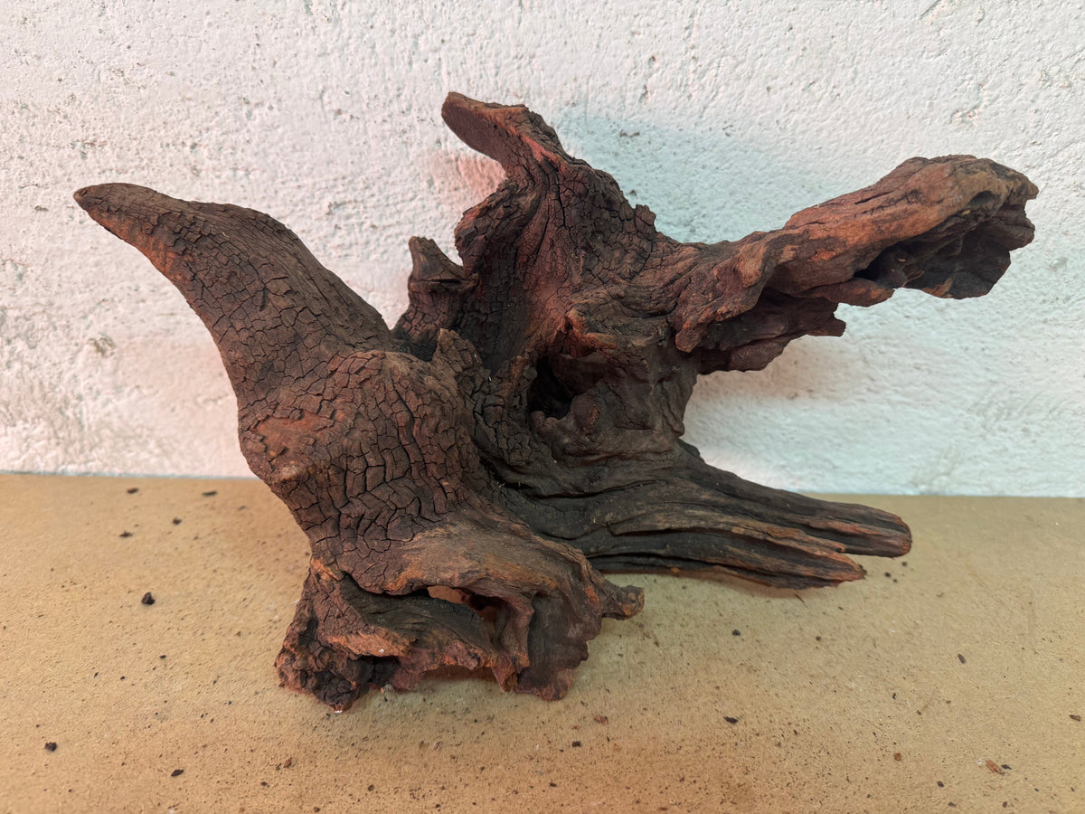 Drift Wood - 34*17*20 - cod.152 WHIMAR