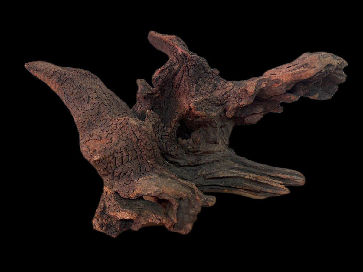 Drift Wood - 34*17*20 - cod.152 WHIMAR