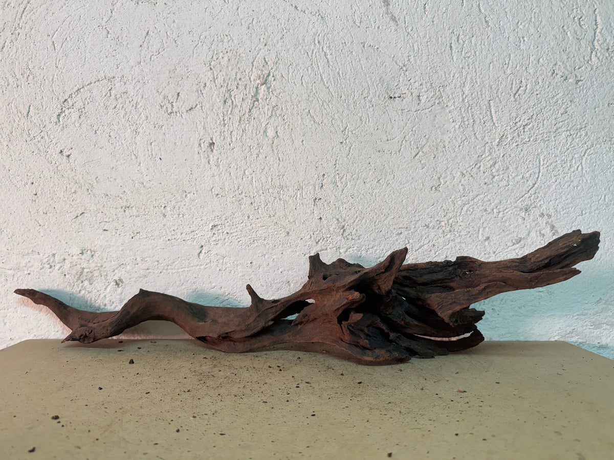Drift Wood - 66*17*15 - cod.153 WHIMAR