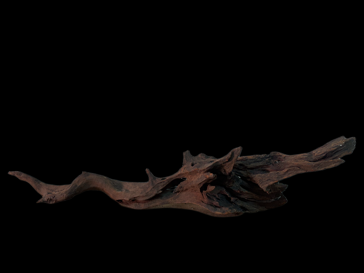 Drift Wood - 66*17*15 - cod.153 WHIMAR