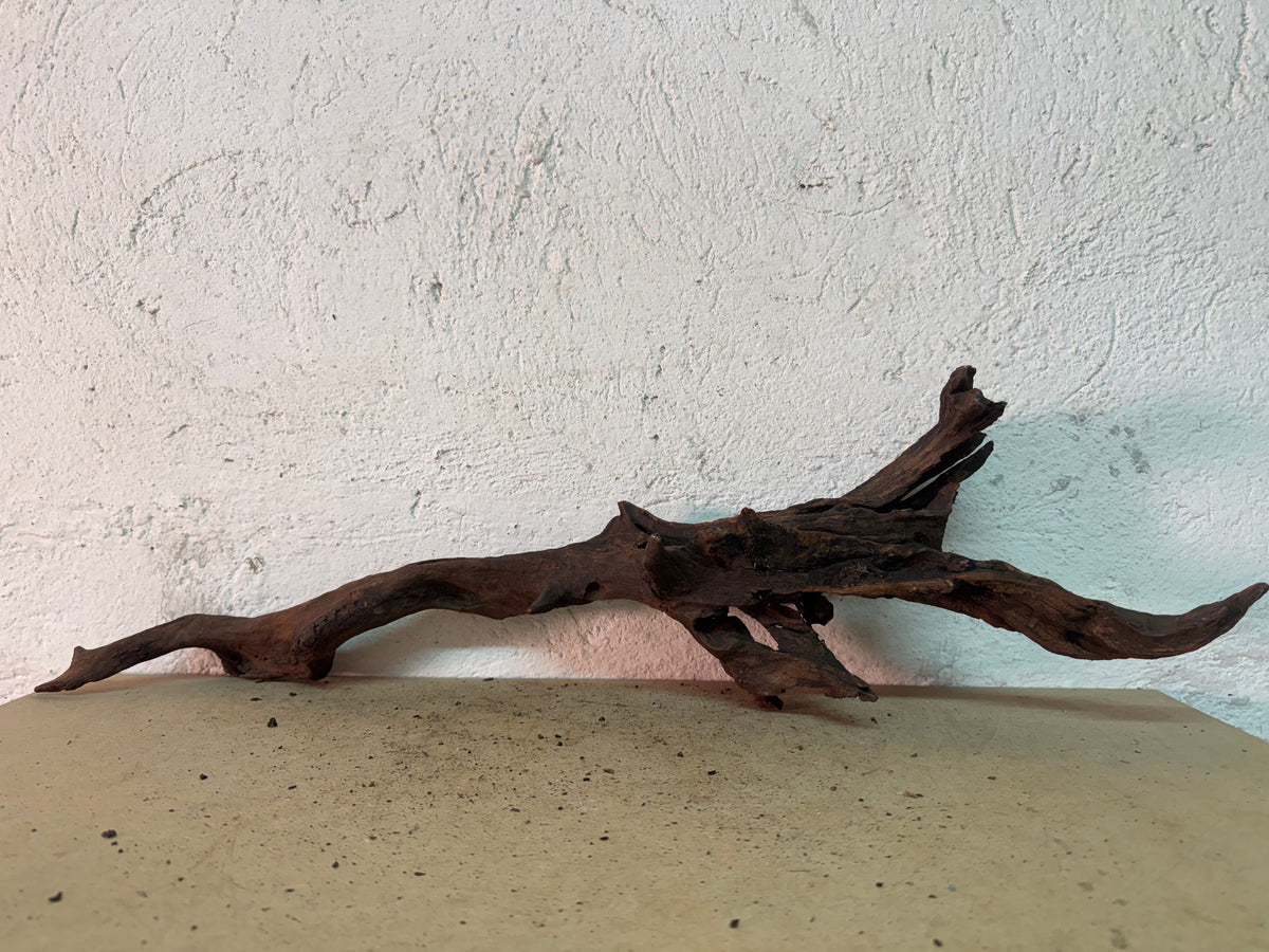 Drift Wood - 66*17*15 - cod.153 WHIMAR