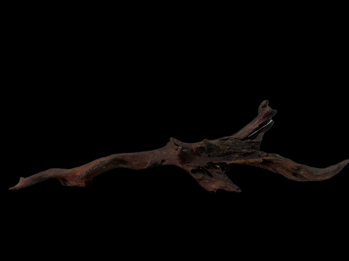 Drift Wood - 66*17*15 - cod.153 WHIMAR