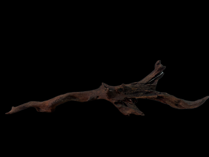 Drift Wood - 66*17*15 - cod.153 WHIMAR