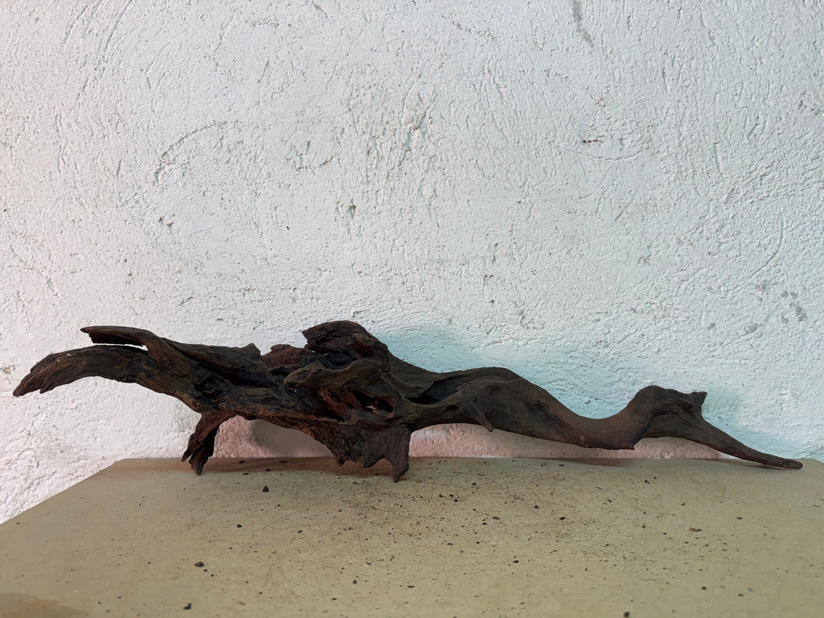 Drift Wood - 66*17*15 - cod.153 WHIMAR