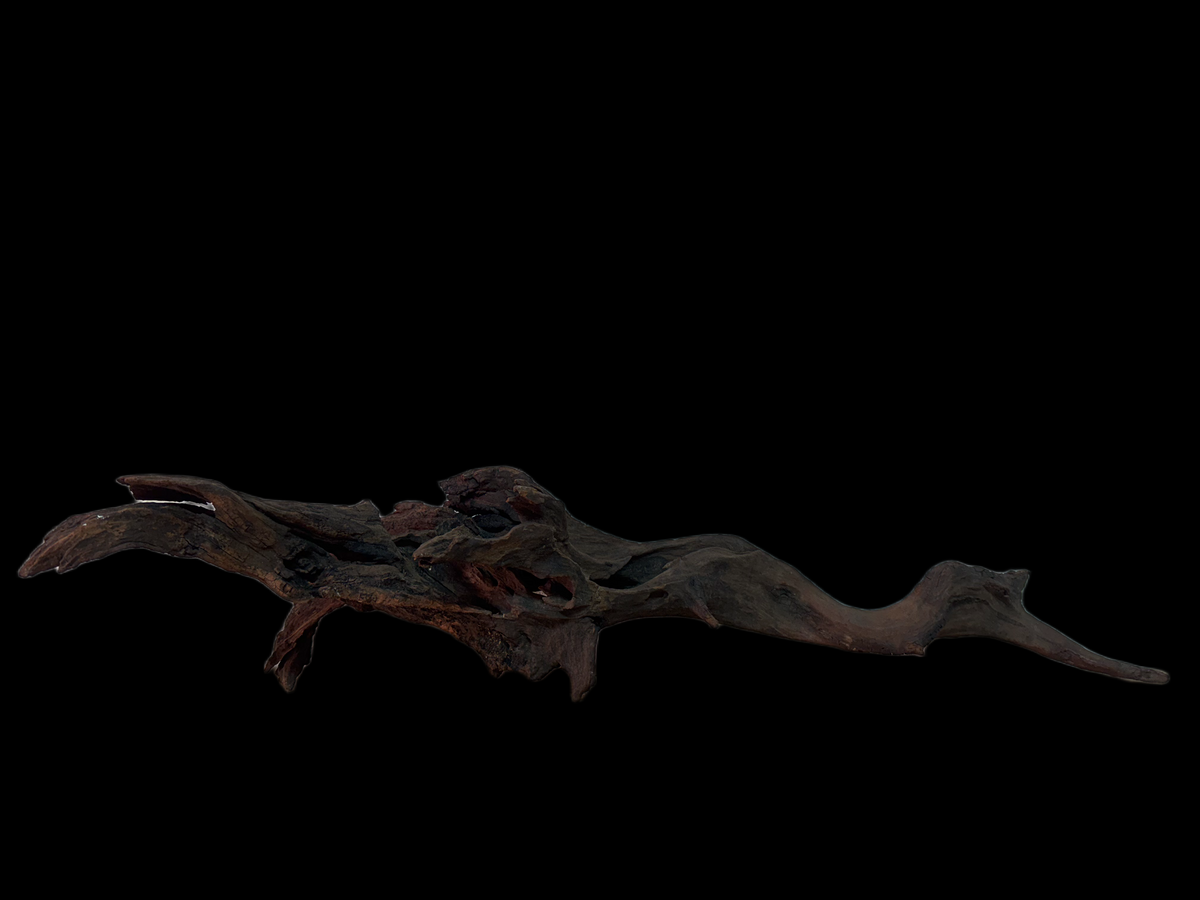 Drift Wood - 66*17*15 - cod.153 WHIMAR
