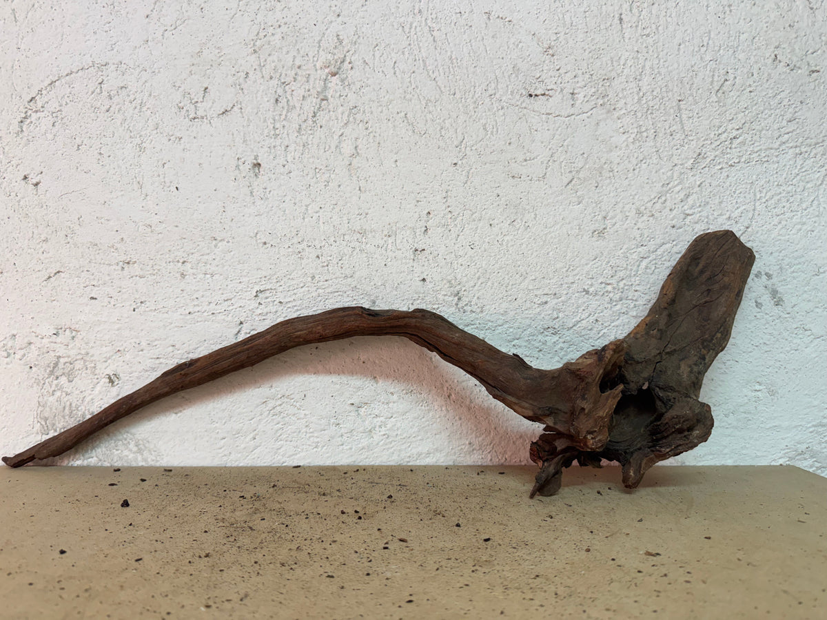 Drift Wood - 63*11*20 - cod.154 WHIMAR