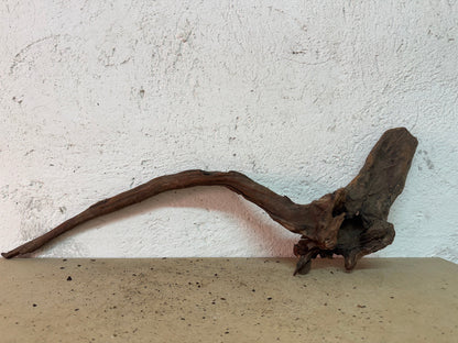 Drift Wood - 63*11*20 - cod.154 WHIMAR