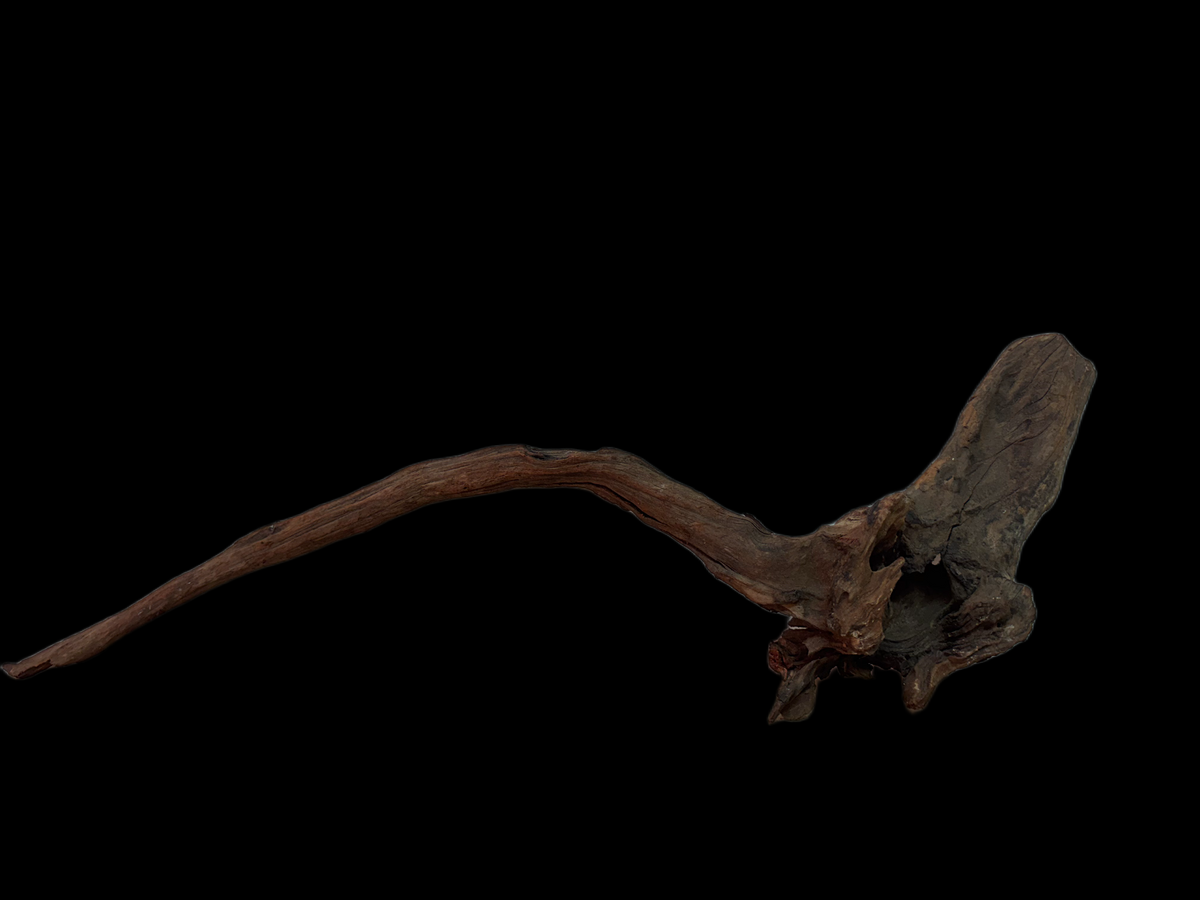 Drift Wood - 63*11*20 - cod.154 WHIMAR