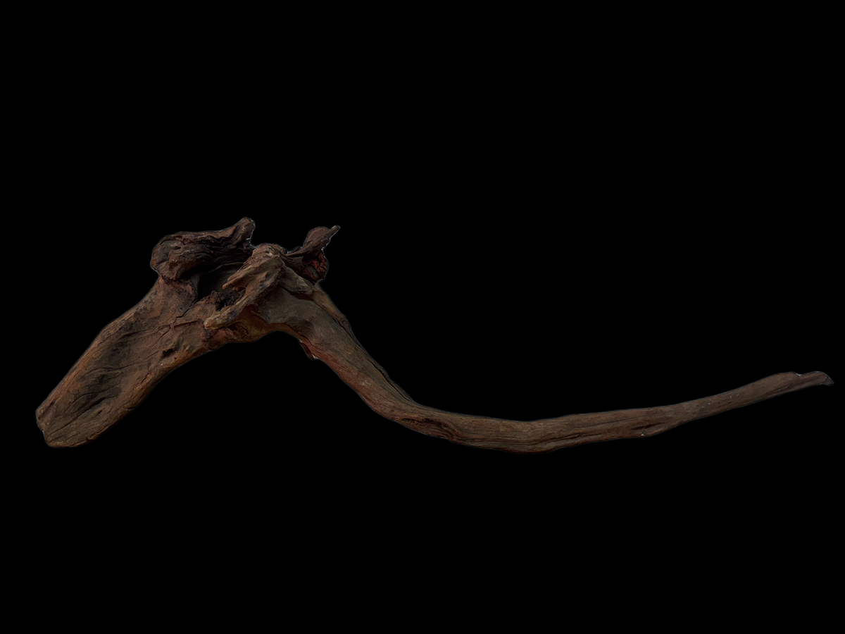 Drift Wood - 63*11*20 - cod.154 WHIMAR