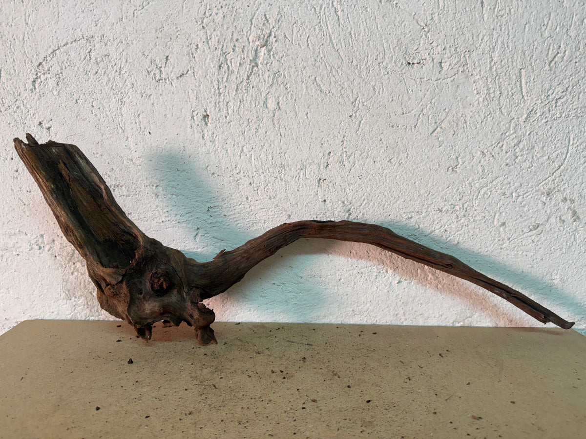 Drift Wood - 63*11*20 - cod.154 WHIMAR