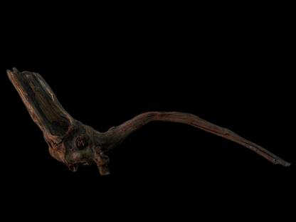 Drift Wood - 63*11*20 - cod.154 WHIMAR