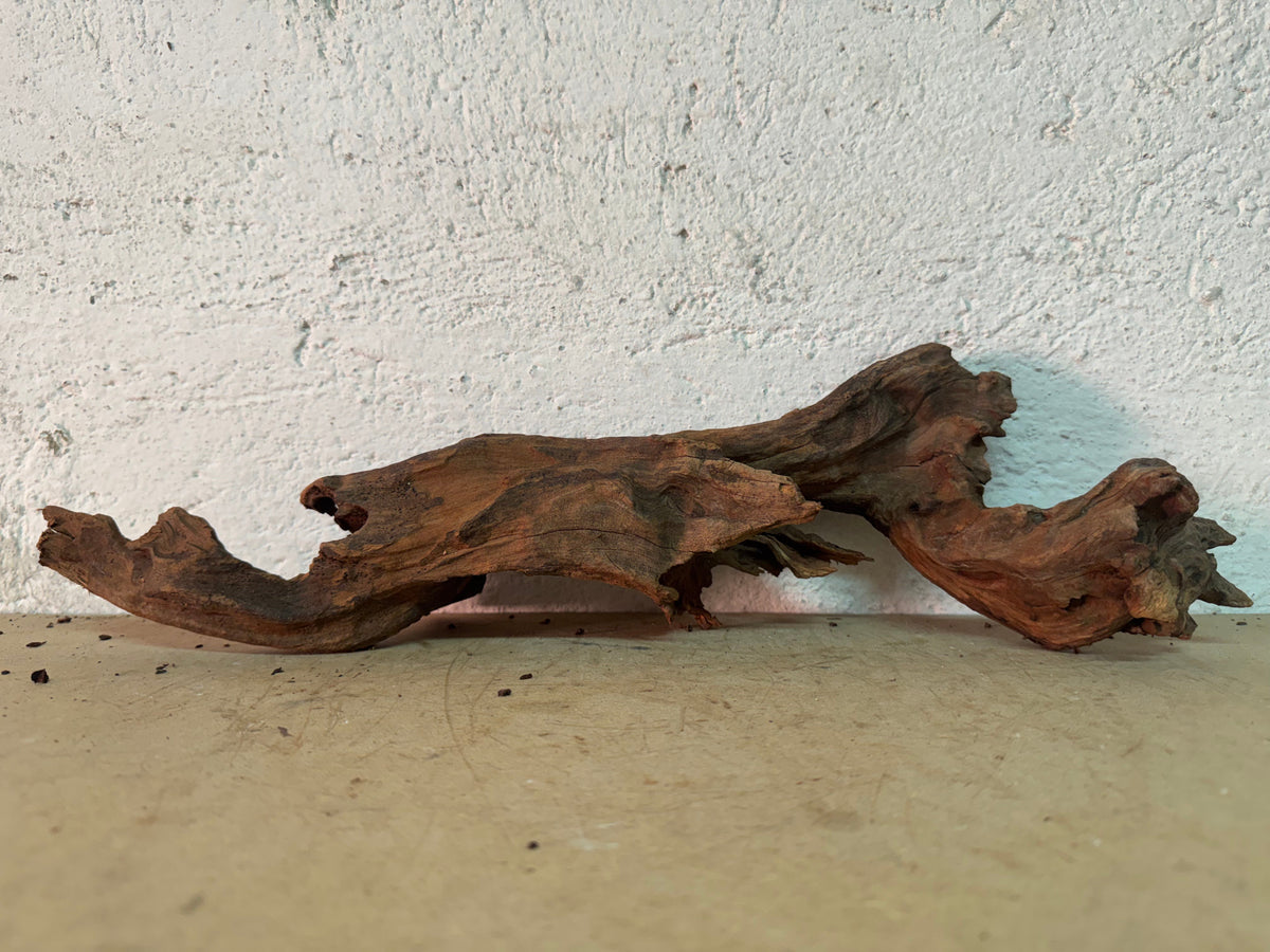 Drift Wood - 42*9*13 - cod.155 WHIMAR