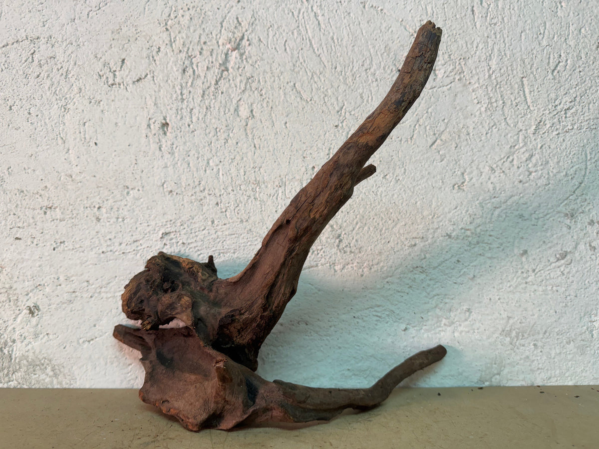 Drift Wood - 33*34*29 - cod.156 WHIMAR