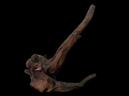 Drift Wood - 33*34*29 - cod.156 WHIMAR