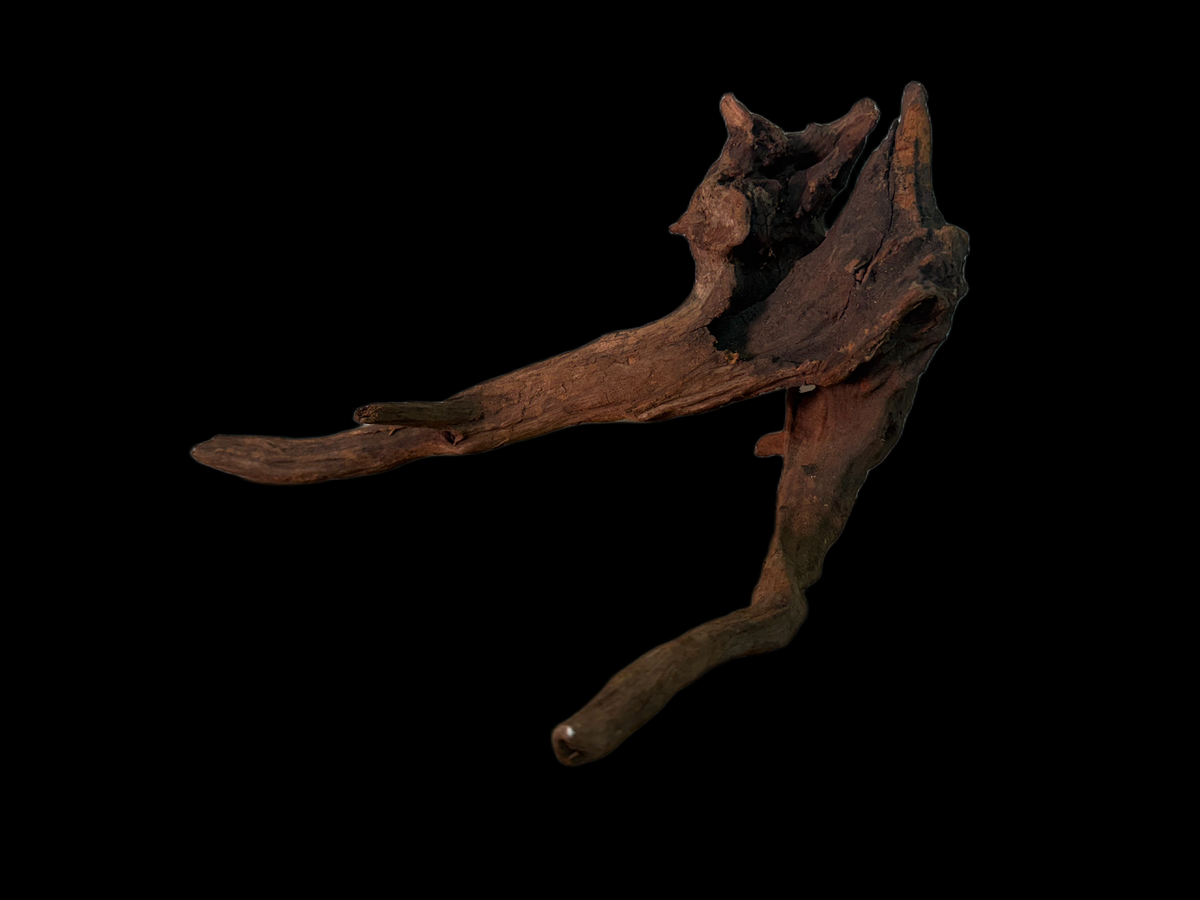 Drift Wood - 33*34*29 - cod.156 WHIMAR