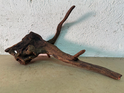 Drift Wood - 33*34*29 - cod.156 WHIMAR