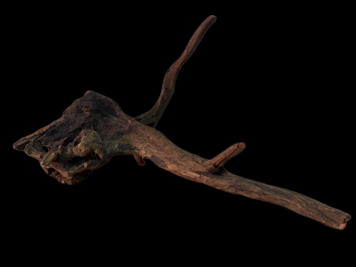 Drift Wood - 33*34*29 - cod.156 WHIMAR