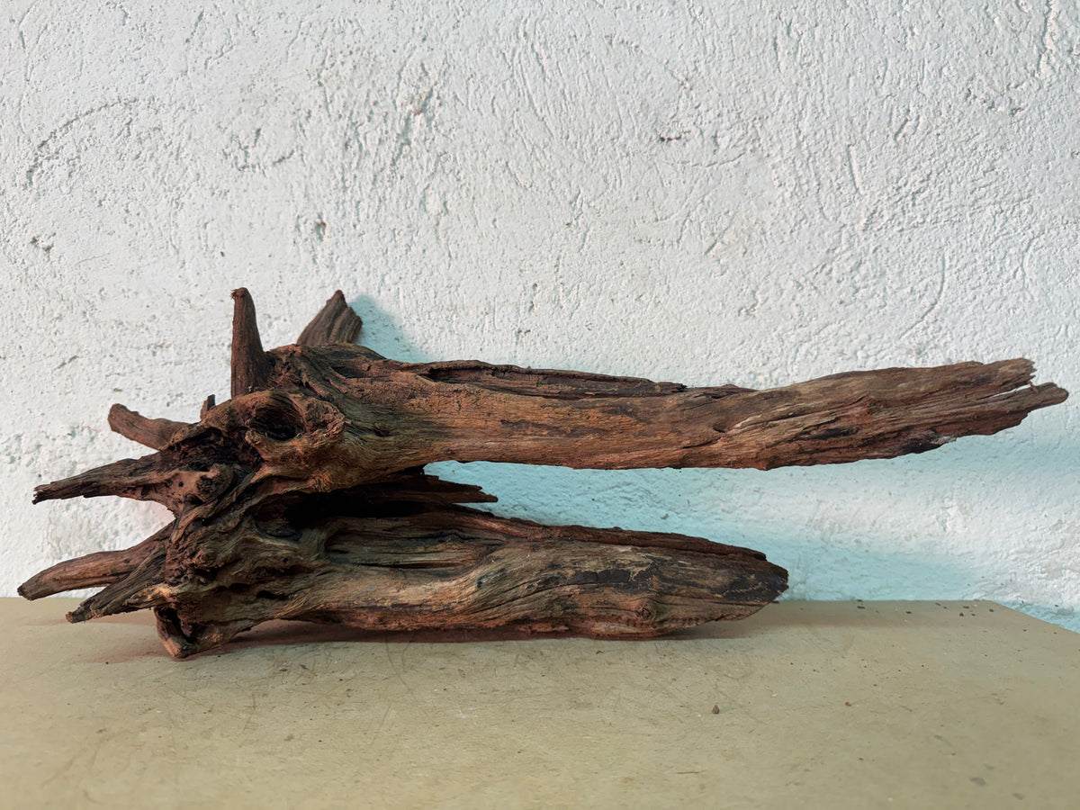 Drift Wood - 55*19*19 - cod.157 WHIMAR