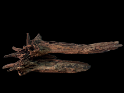 Drift Wood - 55*19*19 - cod.157 WHIMAR