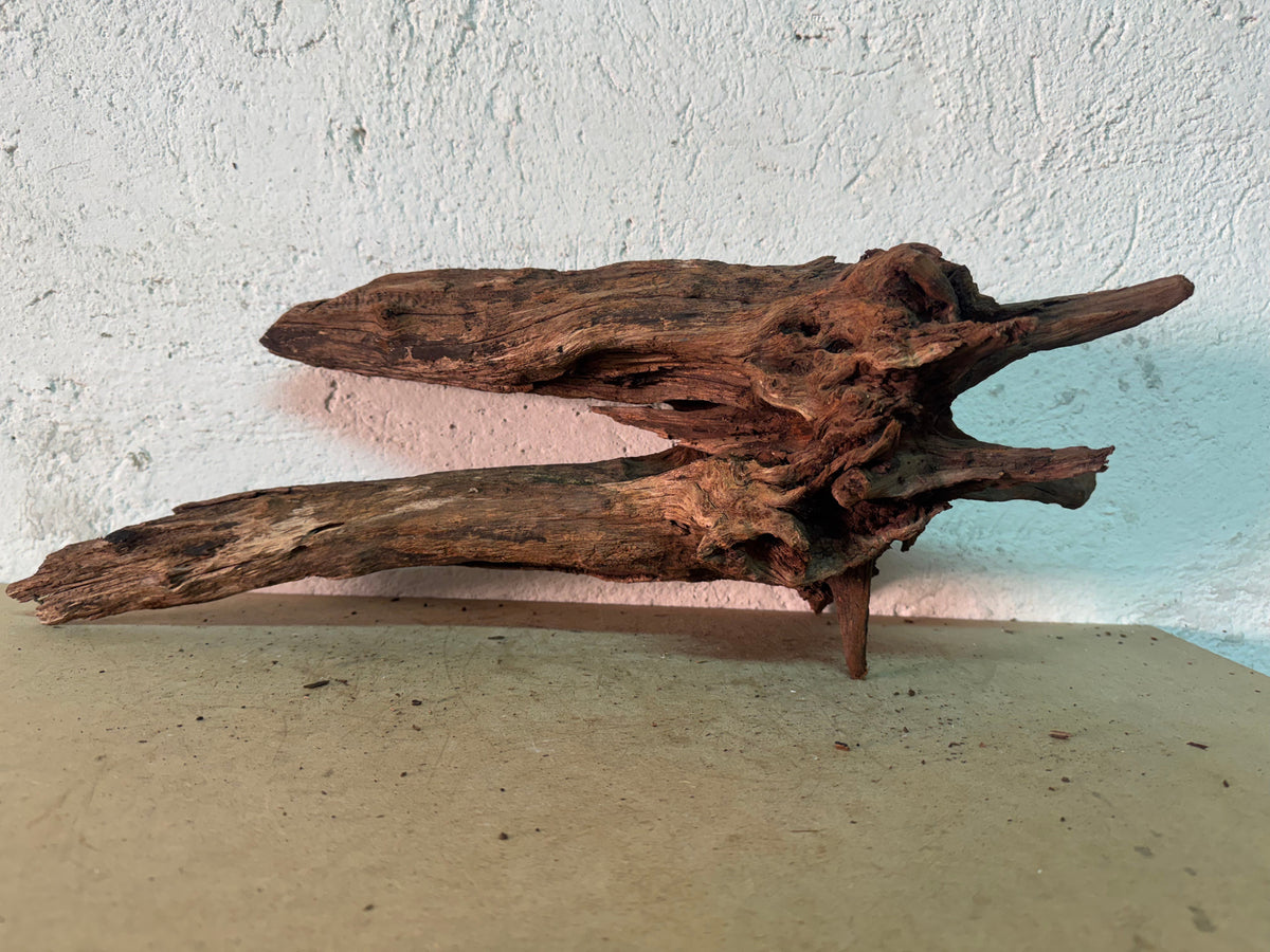 Drift Wood - 55*19*19 - cod.157 WHIMAR