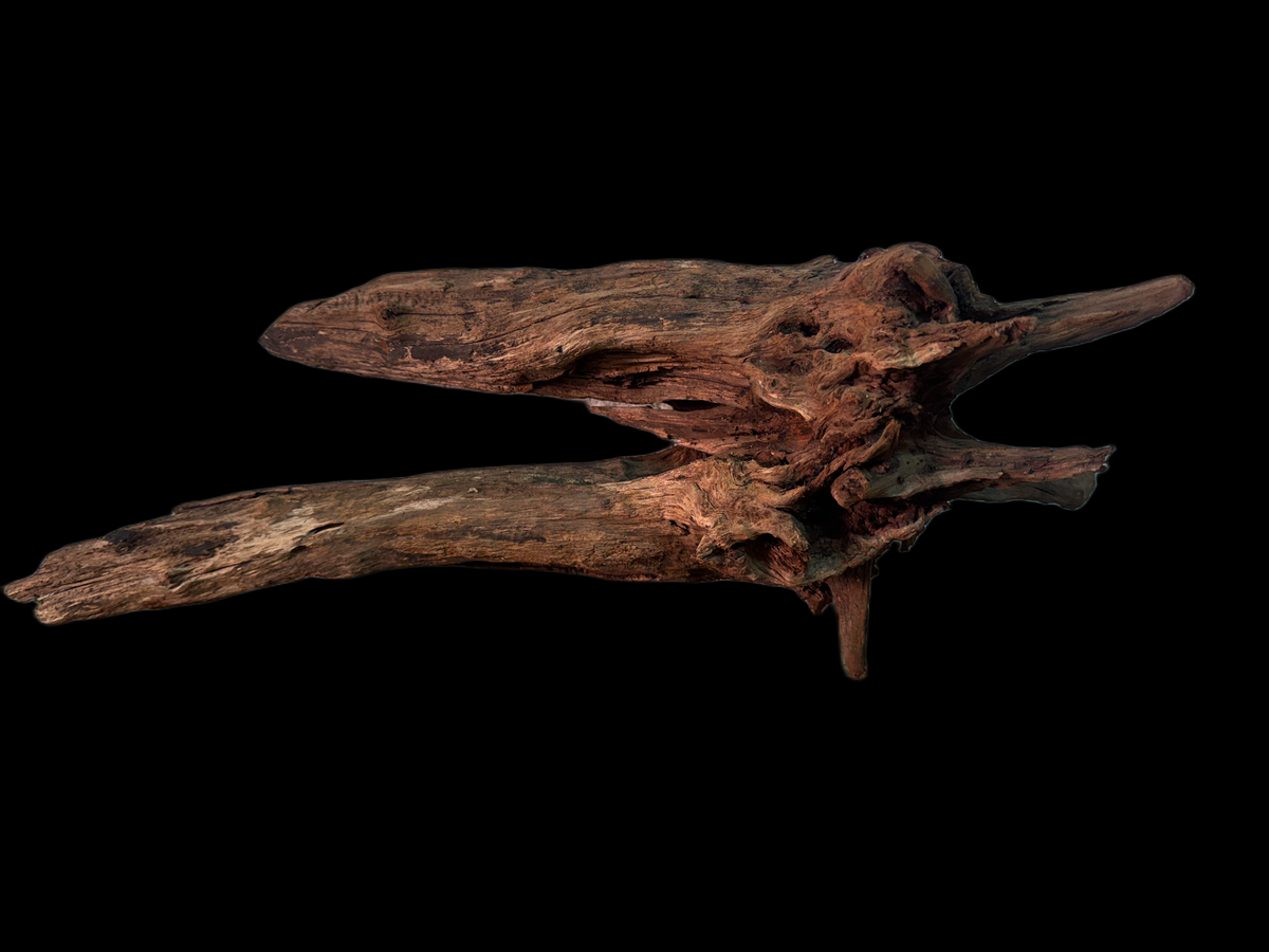 Drift Wood - 55*19*19 - cod.157 WHIMAR