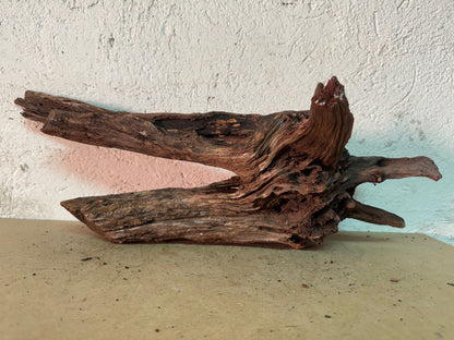 Drift Wood - 55*19*19 - cod.157 WHIMAR