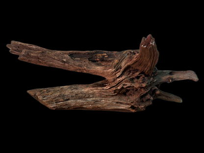 Drift Wood - 55*19*19 - cod.157 WHIMAR