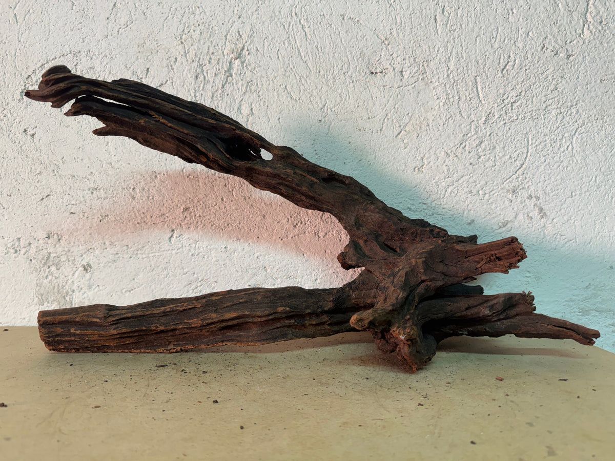 Drift Wood - 54*19*15 - cod.158 WHIMAR