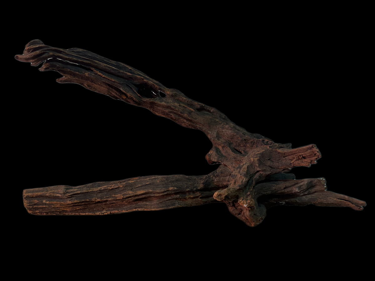 Drift Wood - 54*19*15 - cod.158 WHIMAR