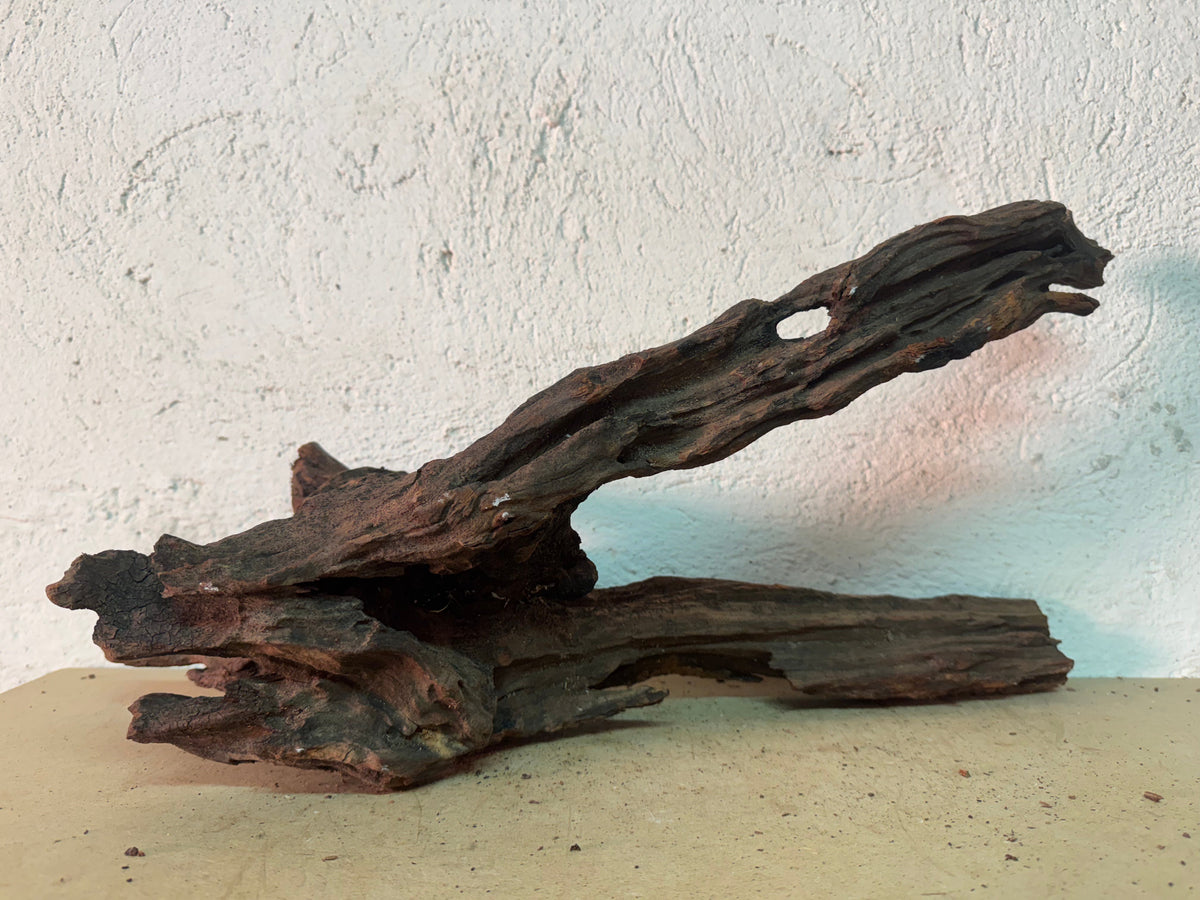 Drift Wood - 54*19*15 - cod.158 WHIMAR