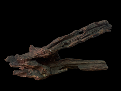 Drift Wood - 54*19*15 - cod.158 WHIMAR
