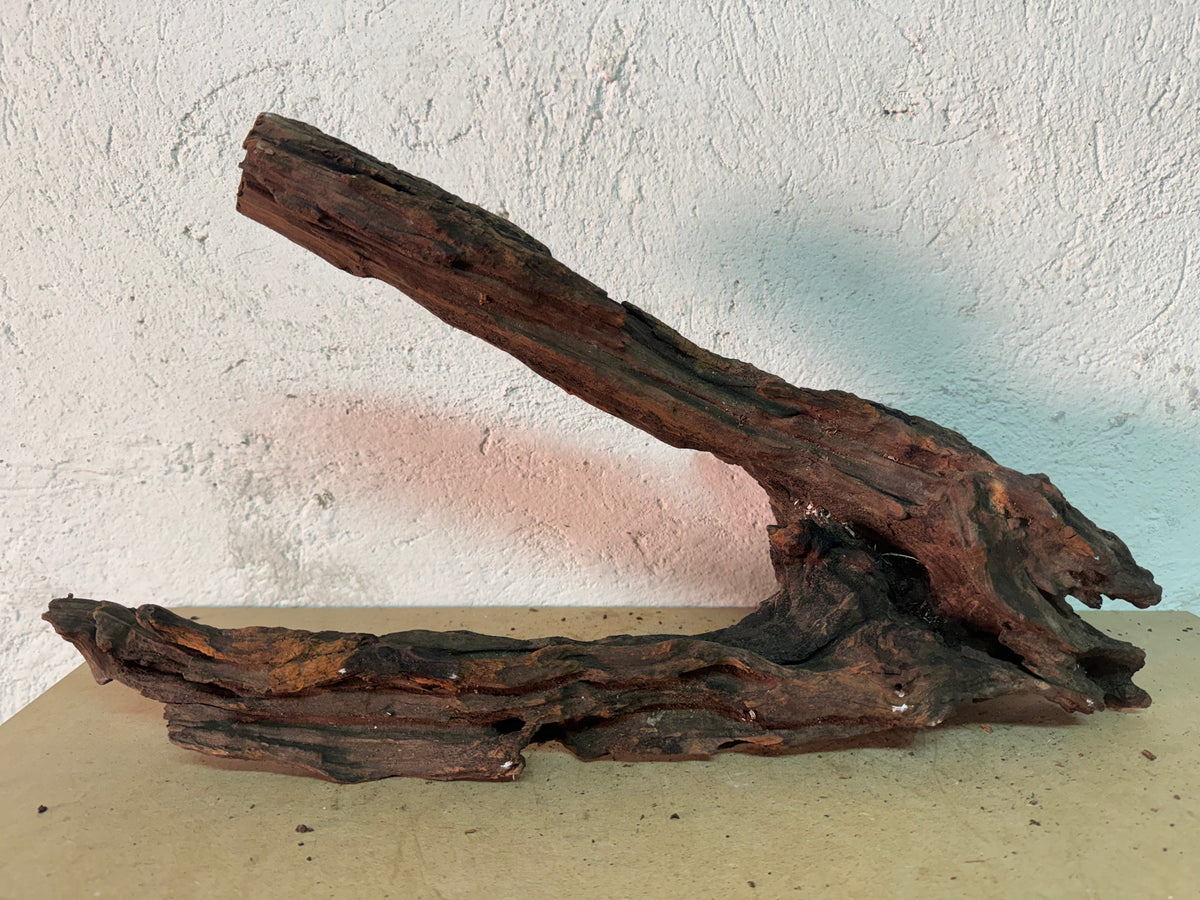 Drift Wood - 54*19*15 - cod.158 WHIMAR