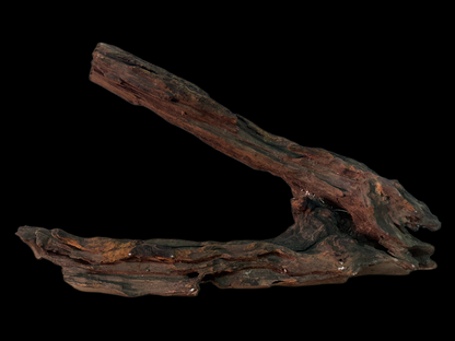Drift Wood - 54*19*15 - cod.158 WHIMAR