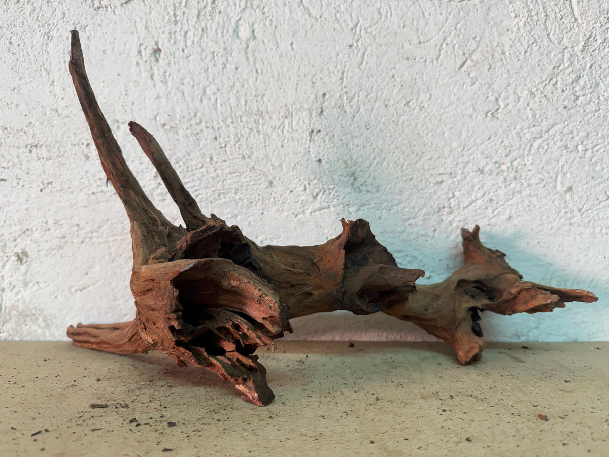 Drift Wood - 41*16*12 - cod.159 WHIMAR