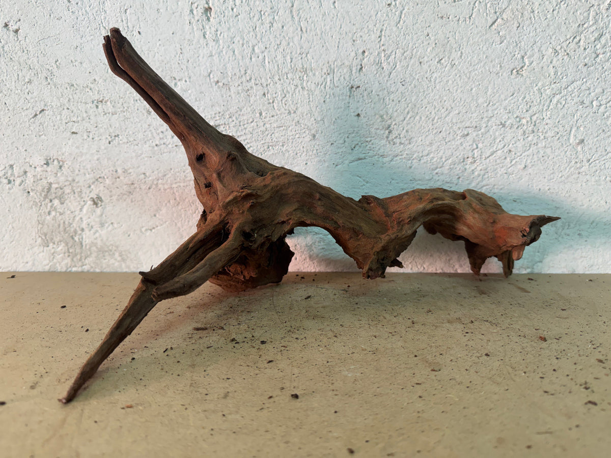 Drift Wood - 41*16*12 - cod.159 WHIMAR