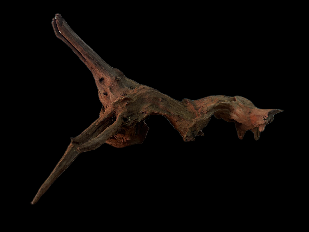 Drift Wood - 41*16*12 - cod.159 WHIMAR