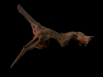 Drift Wood - 41*16*12 - cod.159 WHIMAR