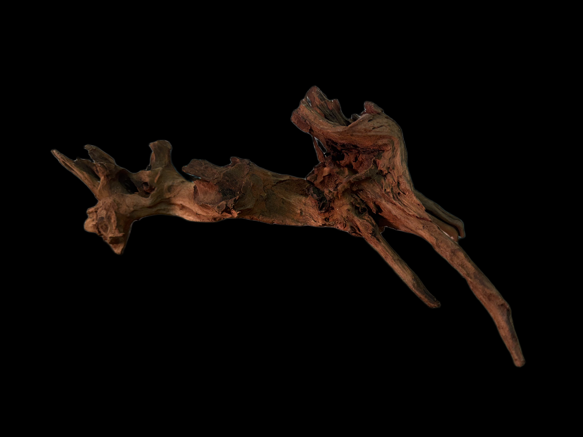 Drift Wood - 41*16*12 - cod.159 WHIMAR